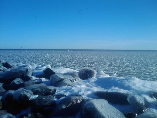 Shore View of a Frozen Lake IJssel