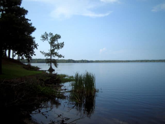 Lake Bogue Homa