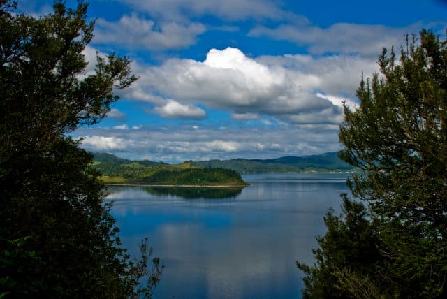 Scenic View of Lake Rotoma