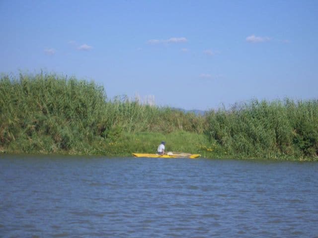 Fisherman at Lake Patzcuaro