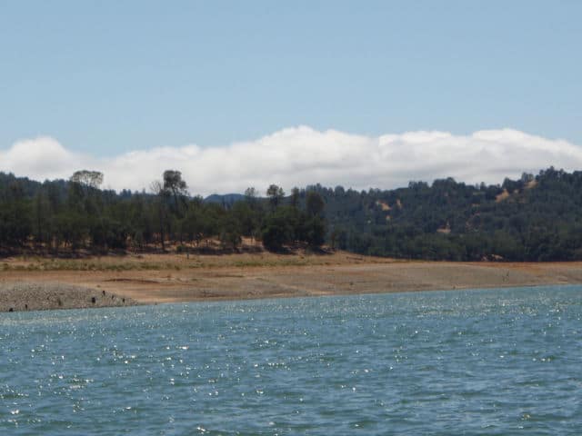 Shore View of Lake Nacimiento