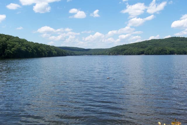Shore View of Lake Zoar