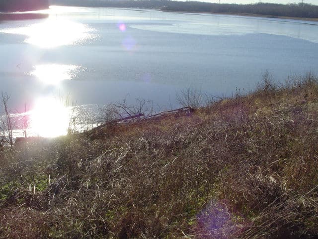 Shore View of Brookville Lake