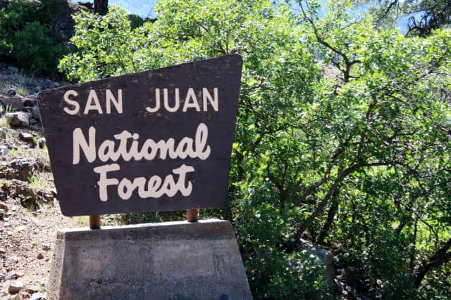 Sign of  San Juan National Forest Near Vallecito Lake