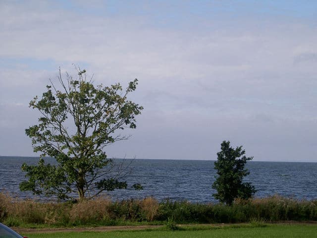 Shore View of Lough Neagh