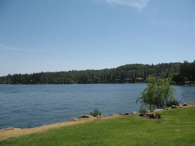 Shore View of Lake Wildwood