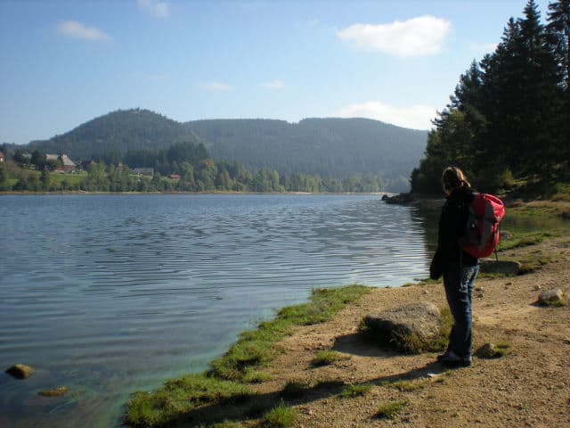Shore View of Schluchsee