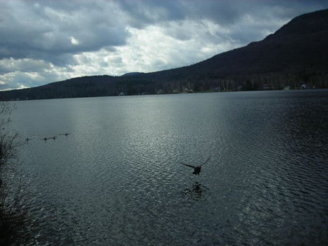 View of Lake Elmore