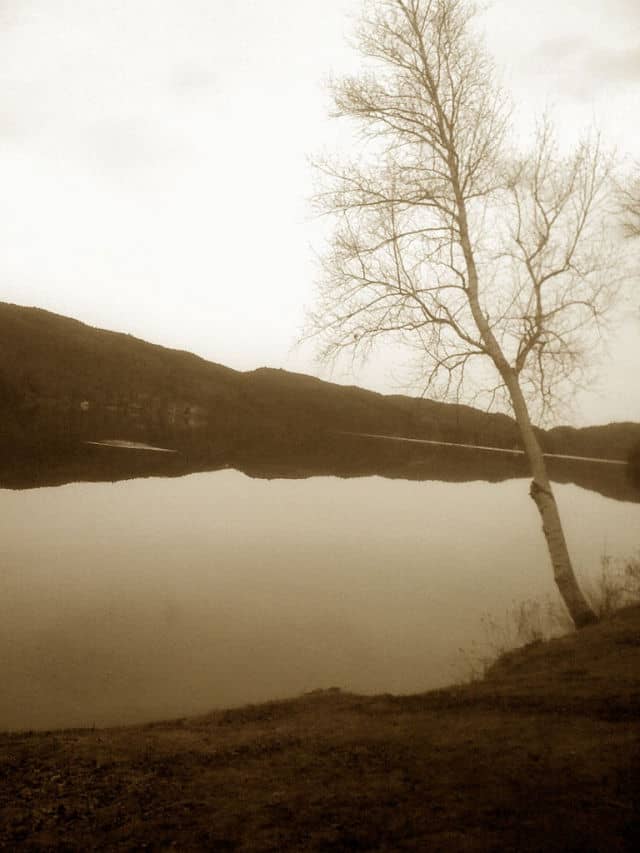 View of Lake Morey