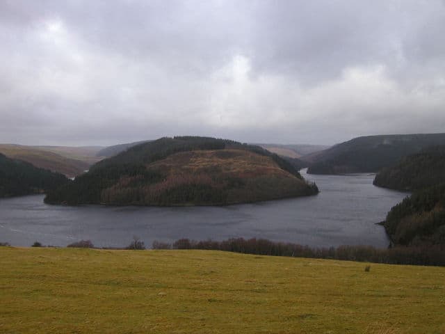 Shore View of Llyn Brianne Reservoir