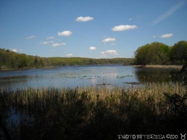 Pickerel Lake 5/3/10