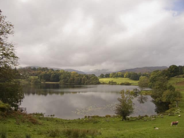 Scenic View of Loughrigg Tarn