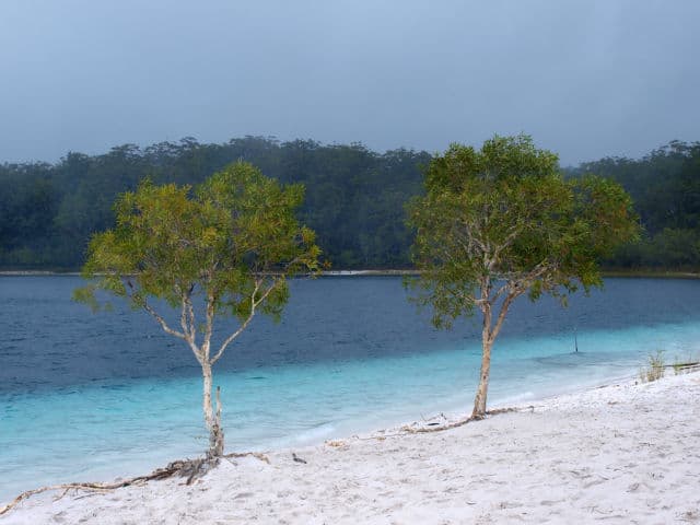 Shore View of Lake McKenzie