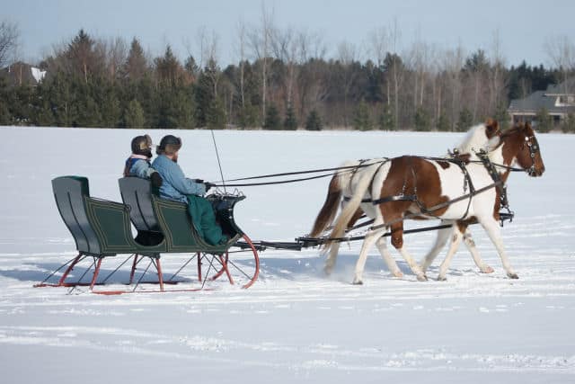 Carriage at Lake Elmo