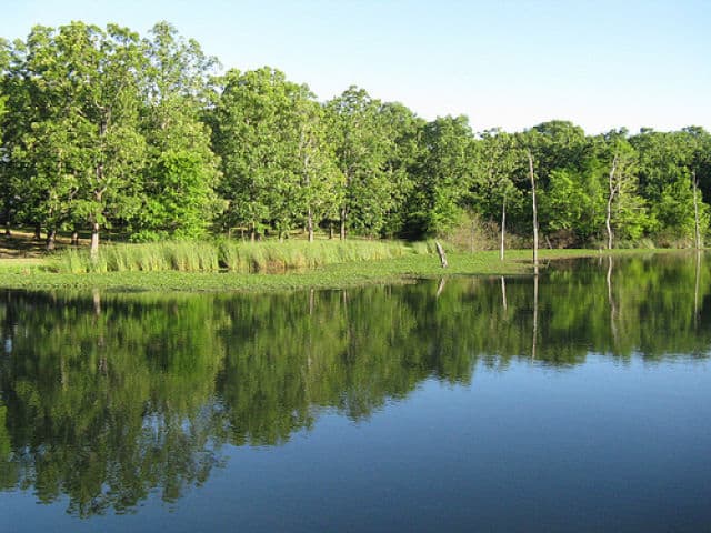 Lake Fork Fishing Spot