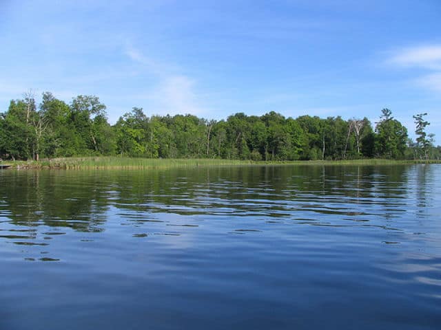 Bay Lake Shoreline