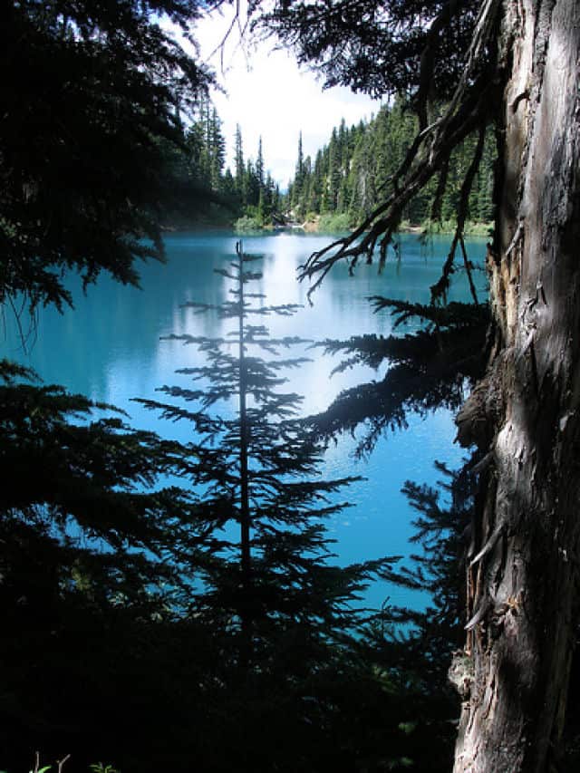 Stunning Turquoise Lake