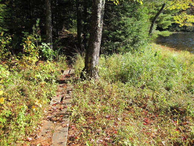 Lowell Lake Walkway