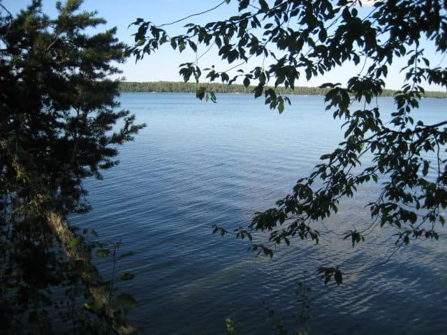 Southwest Shore of Kabekona Lake
