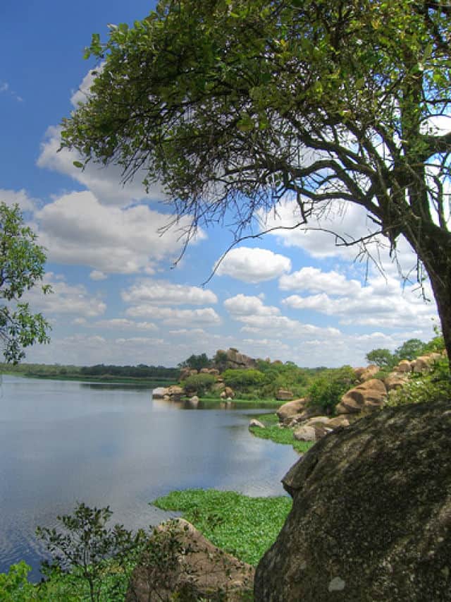 Lake Chivero Shoreline Near Dam