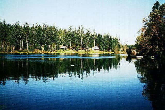 Lake Josephine Shoreline
