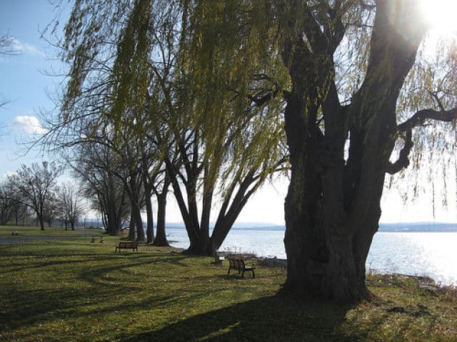 Onondage Lake Waterfront