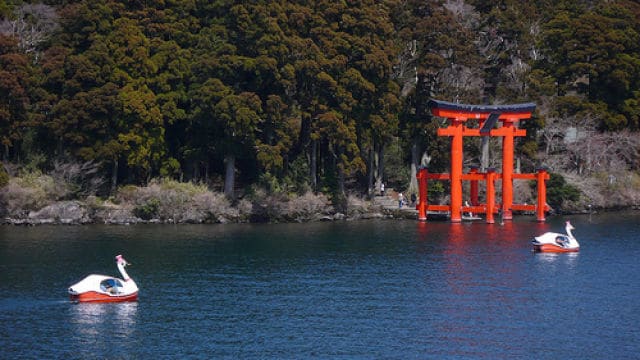 Lake Ashi Shrine and Swan Boats