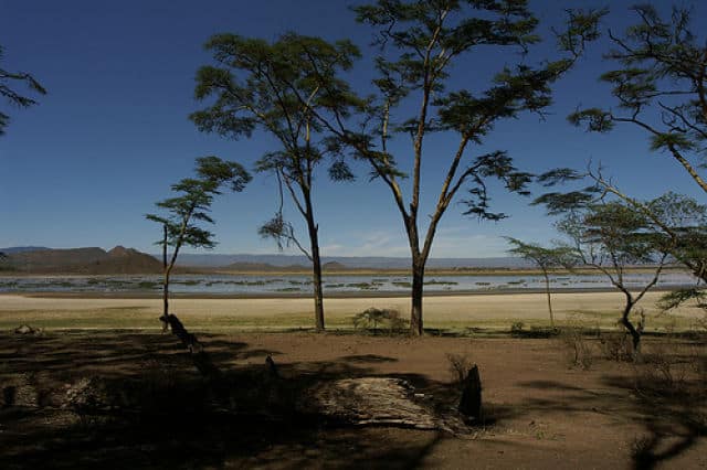Lake Elementaita Landscape