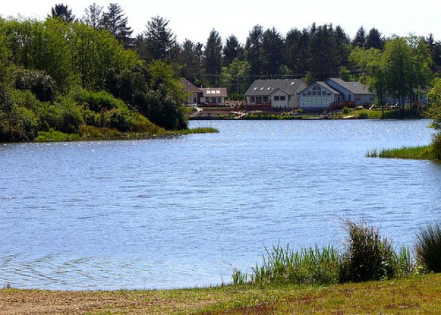 Duck Lake shoreline
