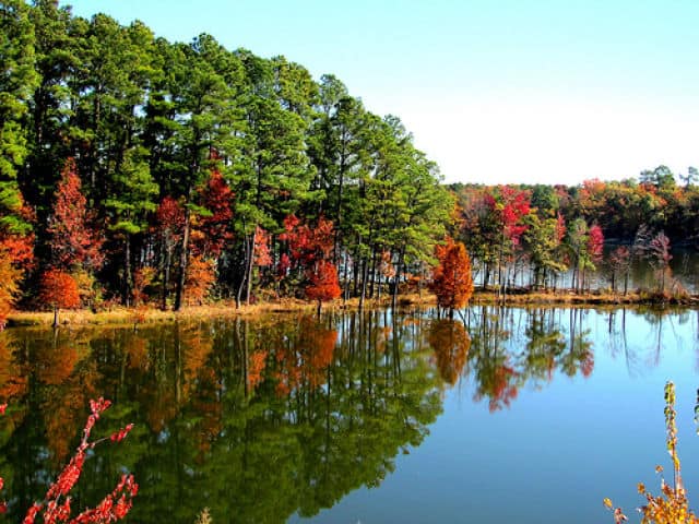 Autumn Colors at Jordan Lake