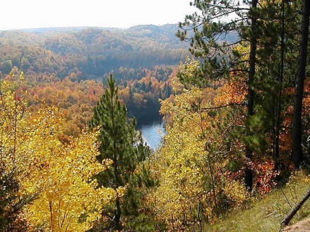Autumn Colors