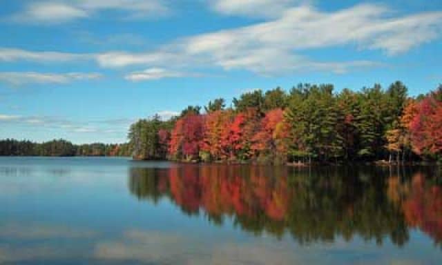 Bow Lake Autumn
