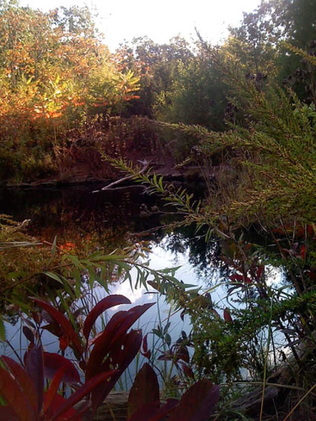 Environmental Center at Manasquan Reservoir