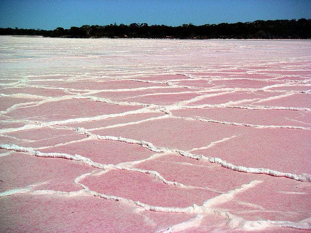 Pink Salt Lakes