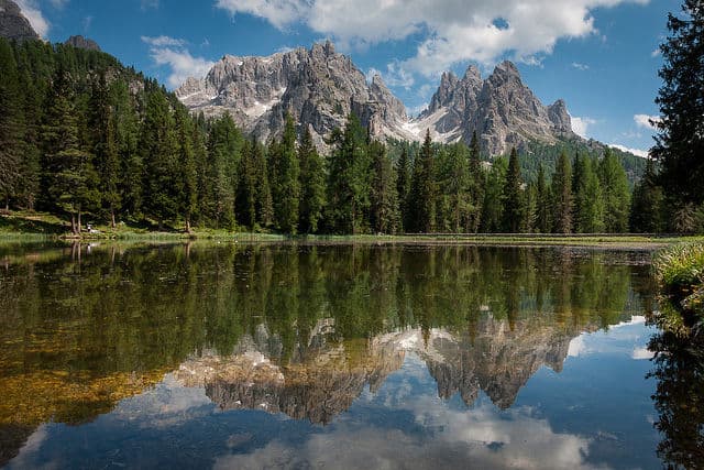Mirror Reflections