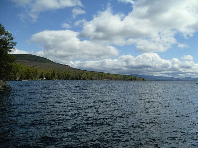 Mooselookmeguntic Lake Shoreline