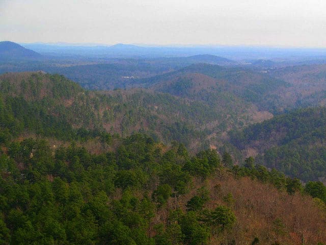 Ouachita Mountains-Late Winter