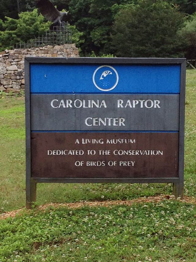 Welcome to the Carolina Raptor Center