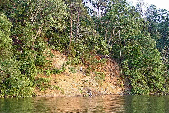 Rope Swing at Lookout Shoals Lake