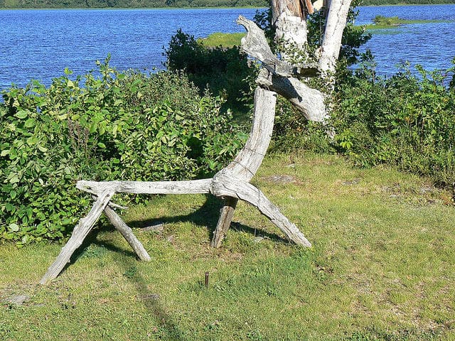 Driftwood Sculpture at Portage Lake