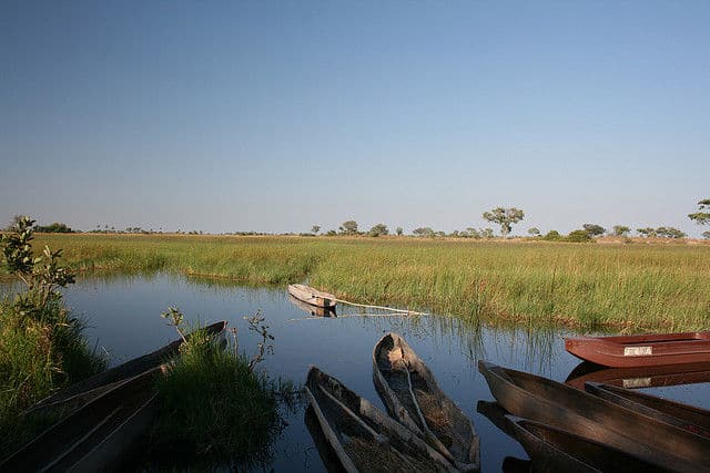 African Mokoro-Traditional Dug-Out Canoe