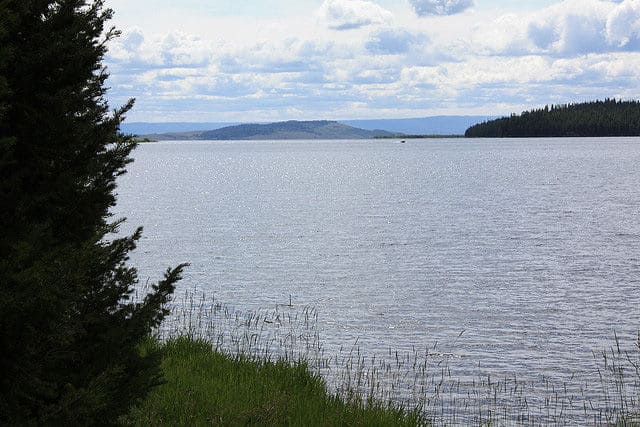 Hebgen Lake Summer