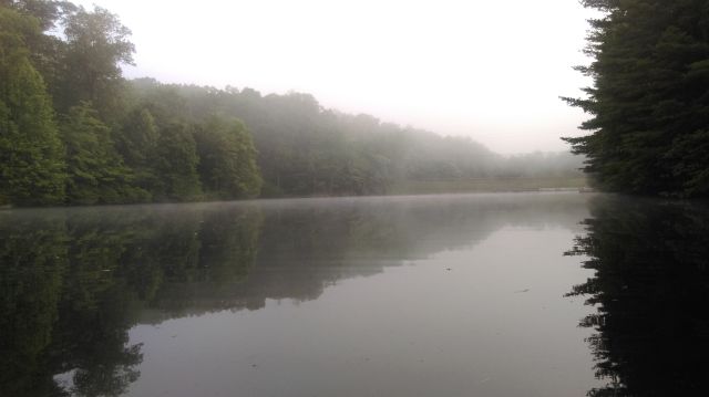 Foggy (sleepy) hollow