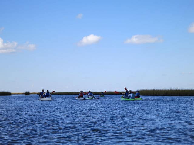 Cocodrie Kayaking