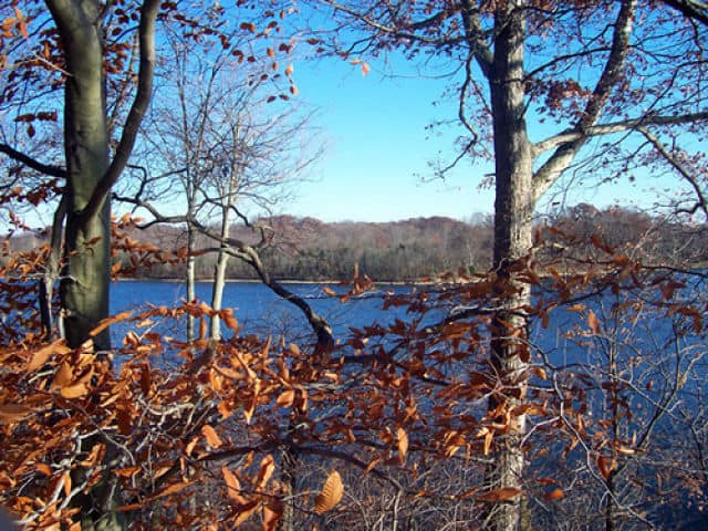 View from Caesar Creek State Park