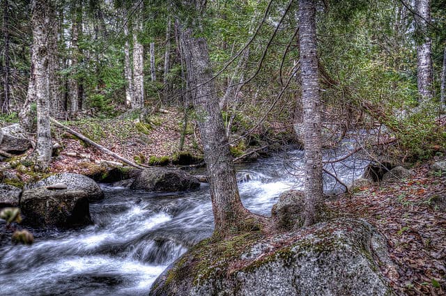 Tunk Lake Outlet Stream