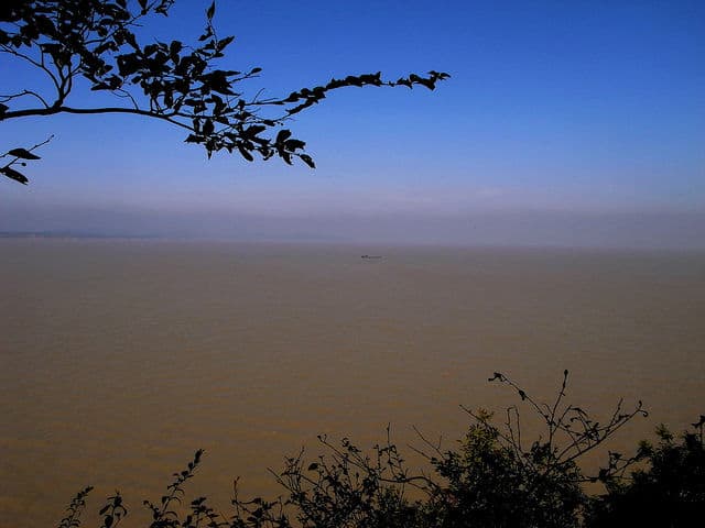 Expansive View of Poyang Lake