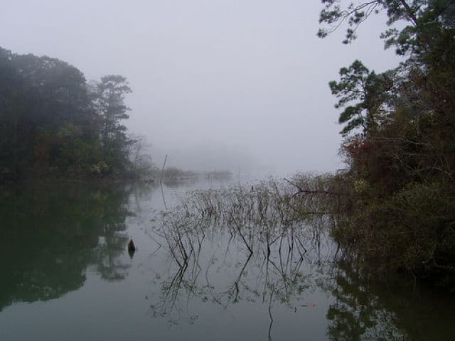 Mist on Lake Livingston
