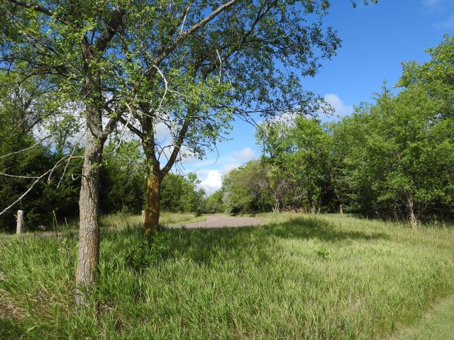 Richmond Lake SRA Forest Drive