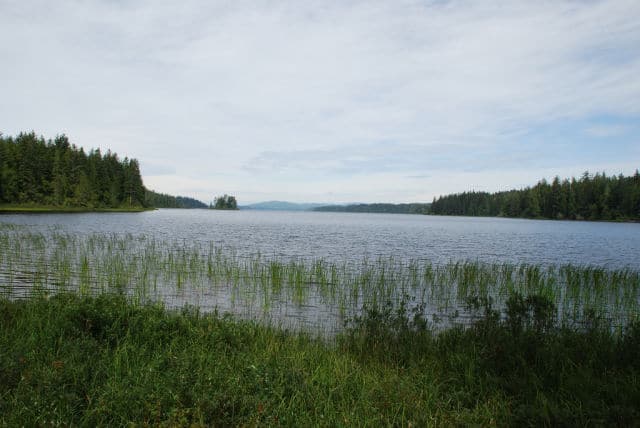 View of  Lake Ozette